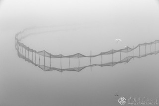 浙江-郑高海---渔塘写意3