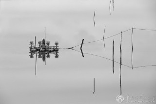 浙江-郑高海--渔塘写意2
