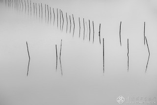 浙江-郑高海---渔塘写意1