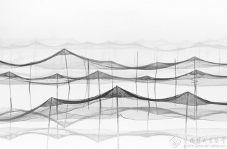 浙江-郑高海-渔塘写意6