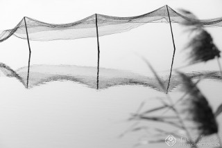 浙江-郑高海--渔塘写意5