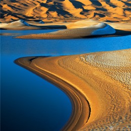 潘新华  中国新疆 艺术类  《韵律》