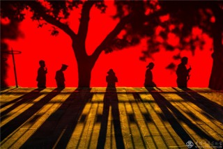 周玉燕  中国香港艺术类 《宫墙魅影》13902833960