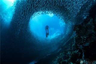 谢飞   中国广东  主题类 《别有洞天》