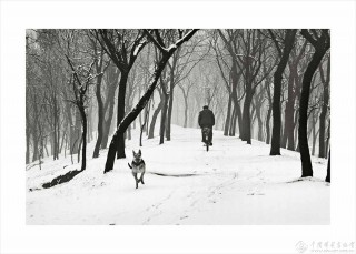 摄影:朱宪民(中国)