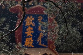摄影:苗金弟