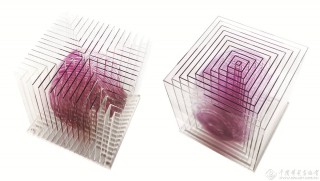 文芳参展作品