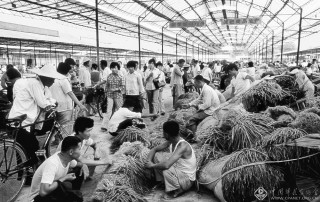 组照—徐洪铎-山东徐老农村集市 (1)