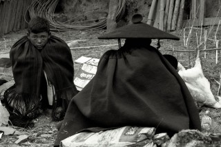 冬日里2015