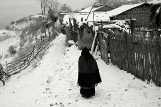 瑞雪2015