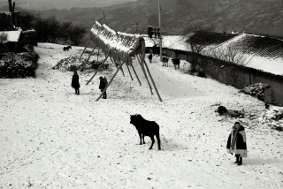 雪后2015