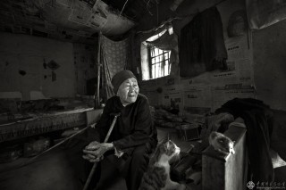 相伴晚年(2008 山东)Live with cats(2008 Shandong)