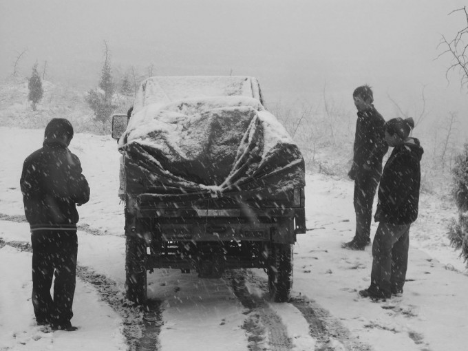 贺圈镇 2010