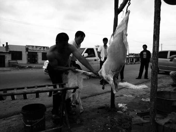黑疙瘩 2008