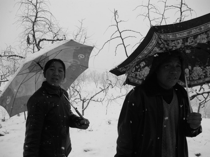 红崖峁 2010