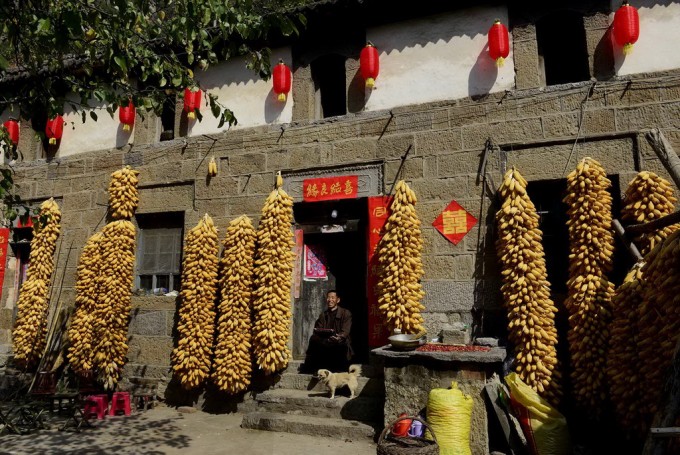 组-村有喜事-278231-程少光-河南