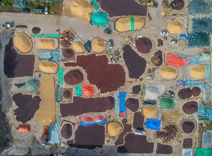 组-多彩大地-238399-李新旺-建设兵团