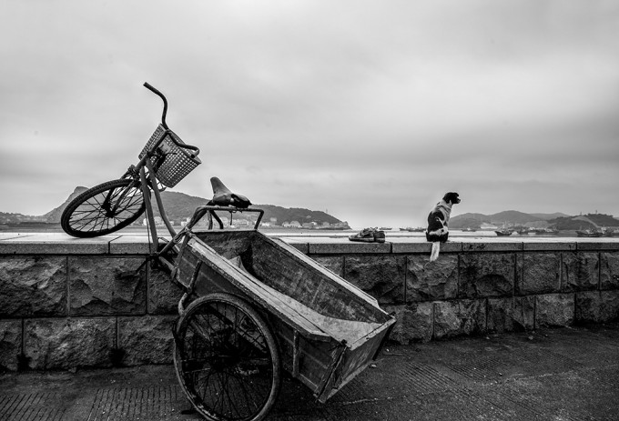 组-塘里塘外-257262--颜于明-浙江