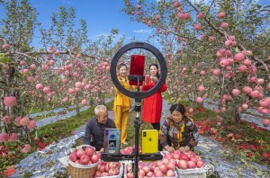 评委会推荐作品-电商平台-杨建峰
