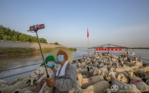 黄河岸边-王书斌