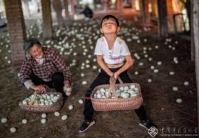 金元宝富了咱的家-刘锋锐