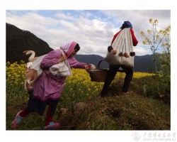 进城-张千用