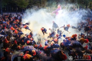 快乐的女场主-孔祥付