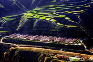 新村-张巧玲