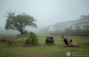 乡村景象-彭琴
