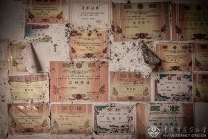 陈颖杰《愿天下没有骨肉分离》