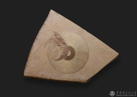 方文杰《化石》