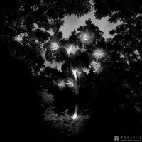 鞠仕《梦的解析》
