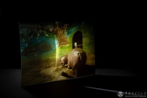 刘畅《裂缝;相逢》