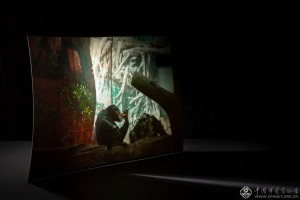 刘畅《裂缝;相逢》
