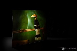 刘畅《裂缝;相逢》