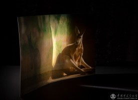 刘畅《裂缝;相逢》