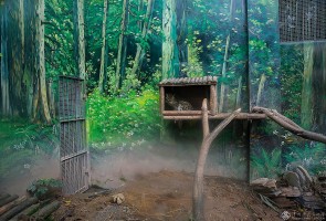刘嵩《为动物画出一个“新家”》