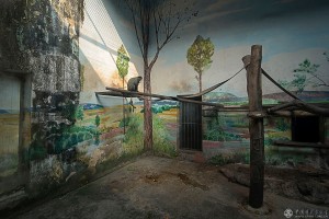 刘嵩《为动物画出一个“新家”》