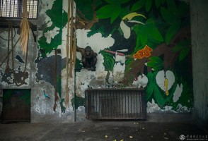 刘嵩《为动物画出一个“新家”》