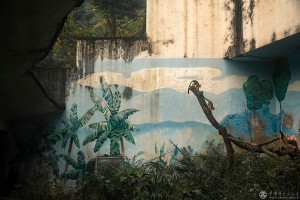 刘嵩《为动物画出一个“新家”》