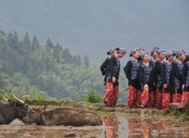 王华平《群》