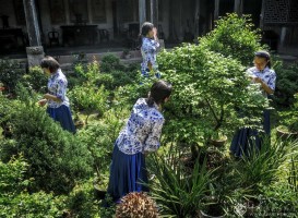 王华平《群》