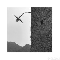 吴俊锋《意镜》