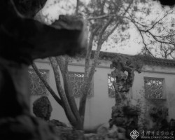 周仰《不朽的林泉》