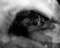 周仰《不朽的林泉》