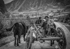 左雪兰《黄土地上的脱贫故事》