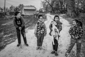 左雪兰《黄土地上的脱贫故事》