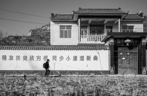 左雪兰《黄土地上的脱贫故事》