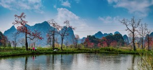黄凤栖  《逐卜木棉红似火》