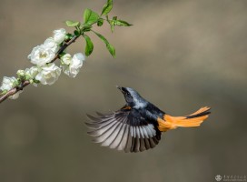 李荣桓  《寻》